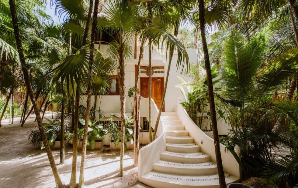 Palms House Holiday home Tulum