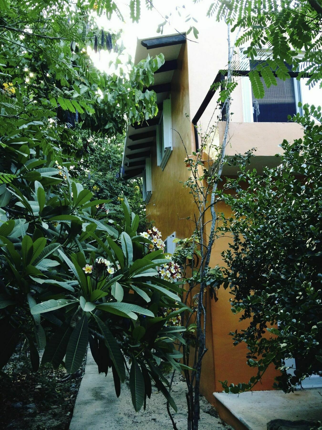 Hotel Flor De Mayo Tulum