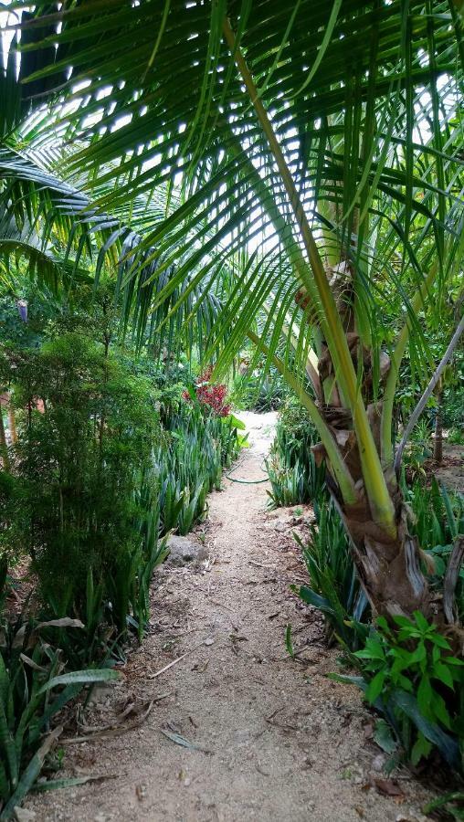Holiday home Jungle Oasis