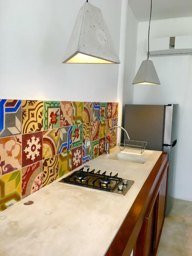 Apartment Designer Loft 1