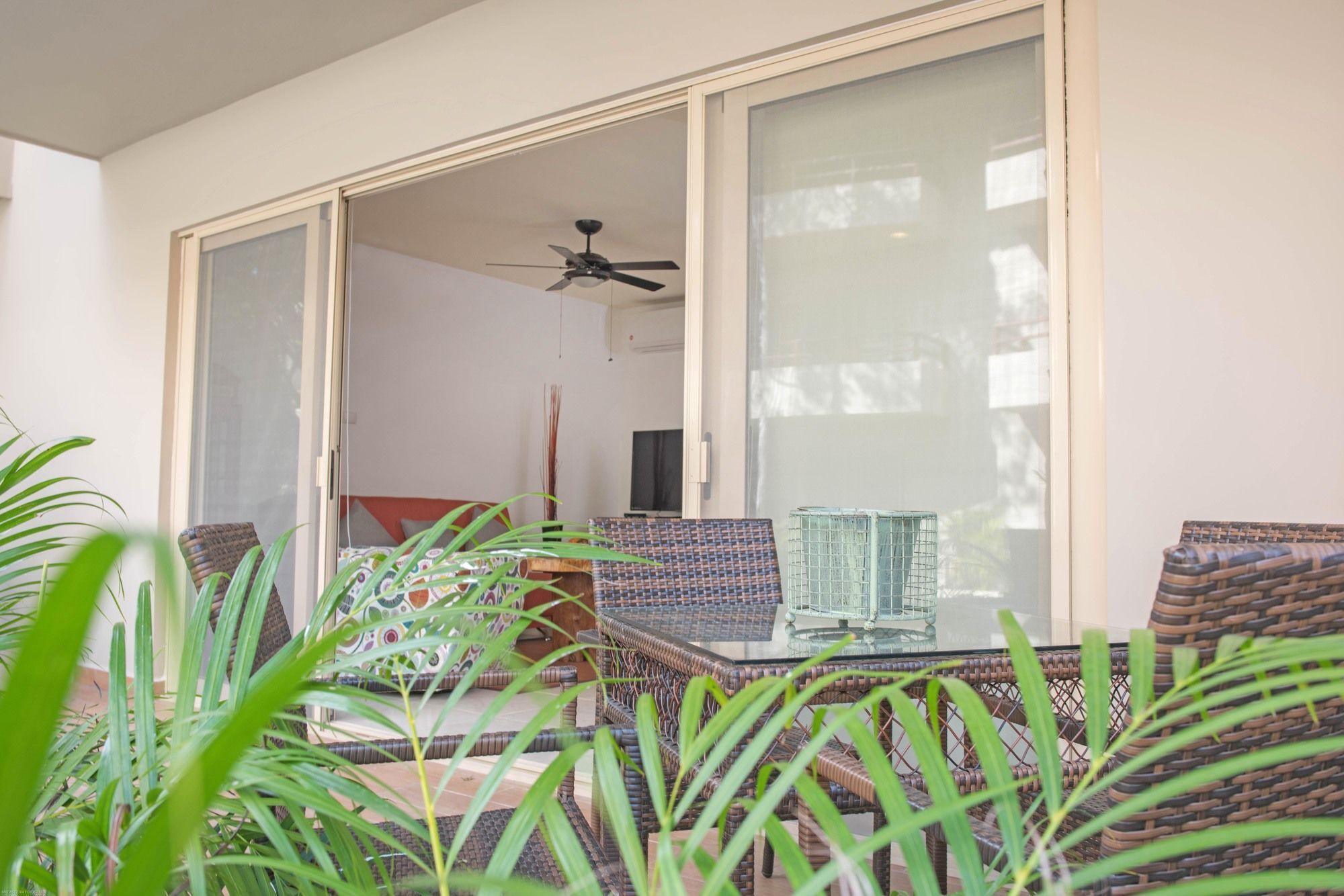 Apartment Agua De Mar Ph 305 By Imexico *