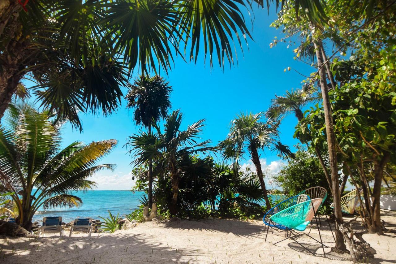 Villa La Maison Manati, Beachfront, Infinity Pool, Cooking Service Included