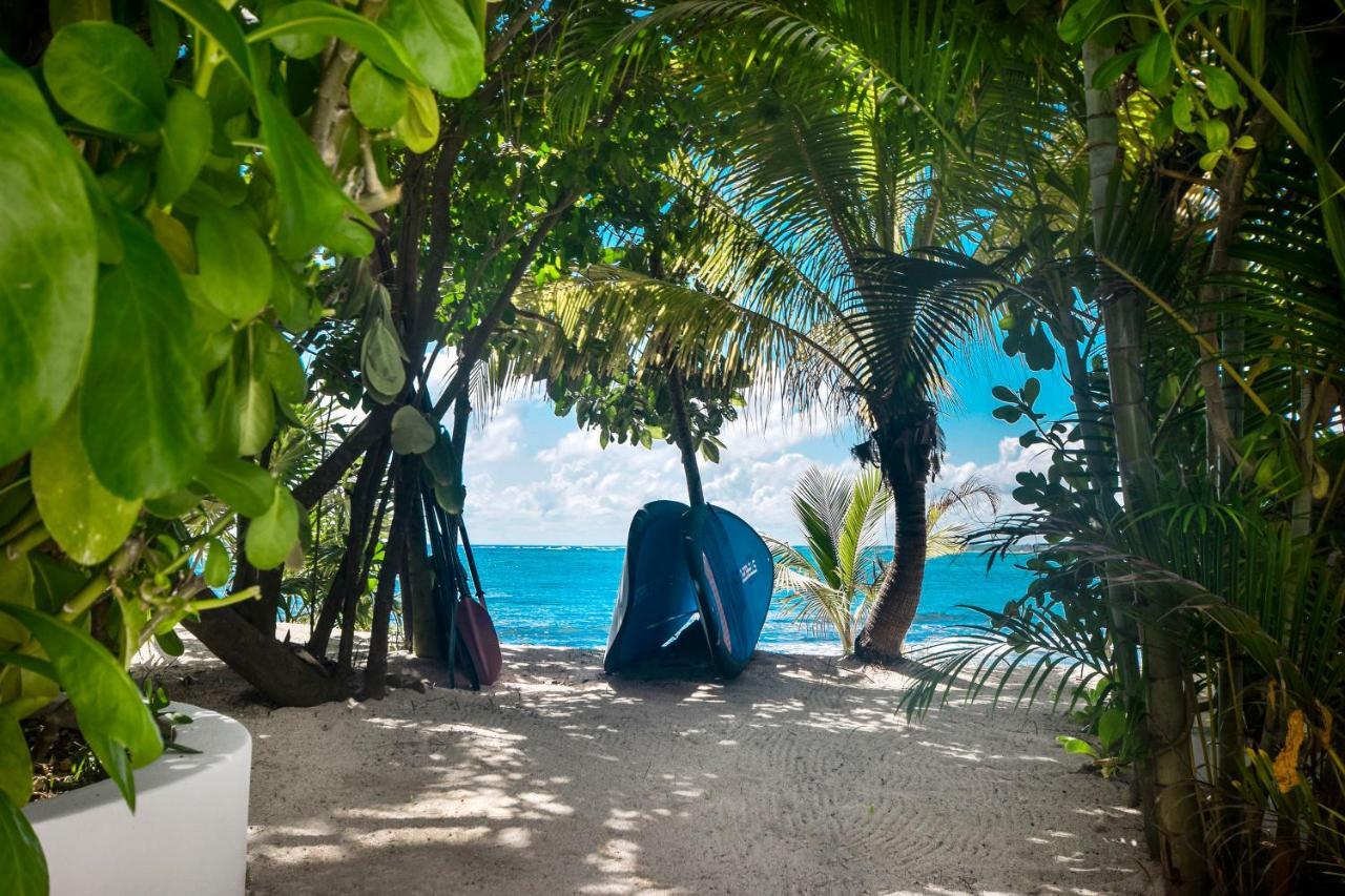 La Maison Manati, Beachfront, Infinity Pool, Cooking Service Included