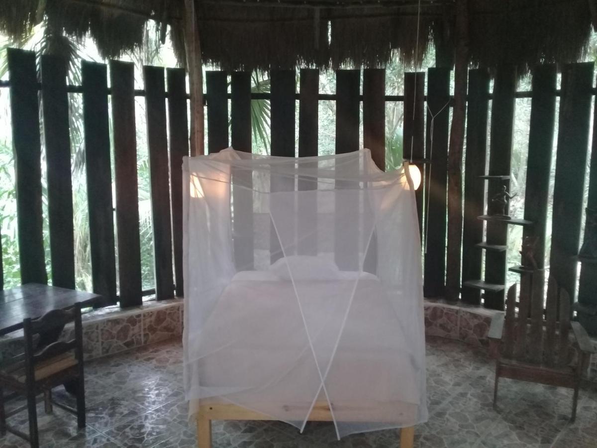 Jazba Jungle Retreat 3*