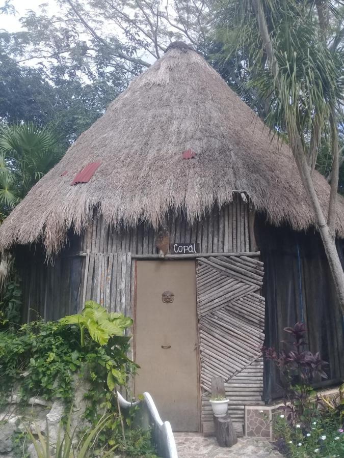 Hotel Jazba Jungle Retreat
