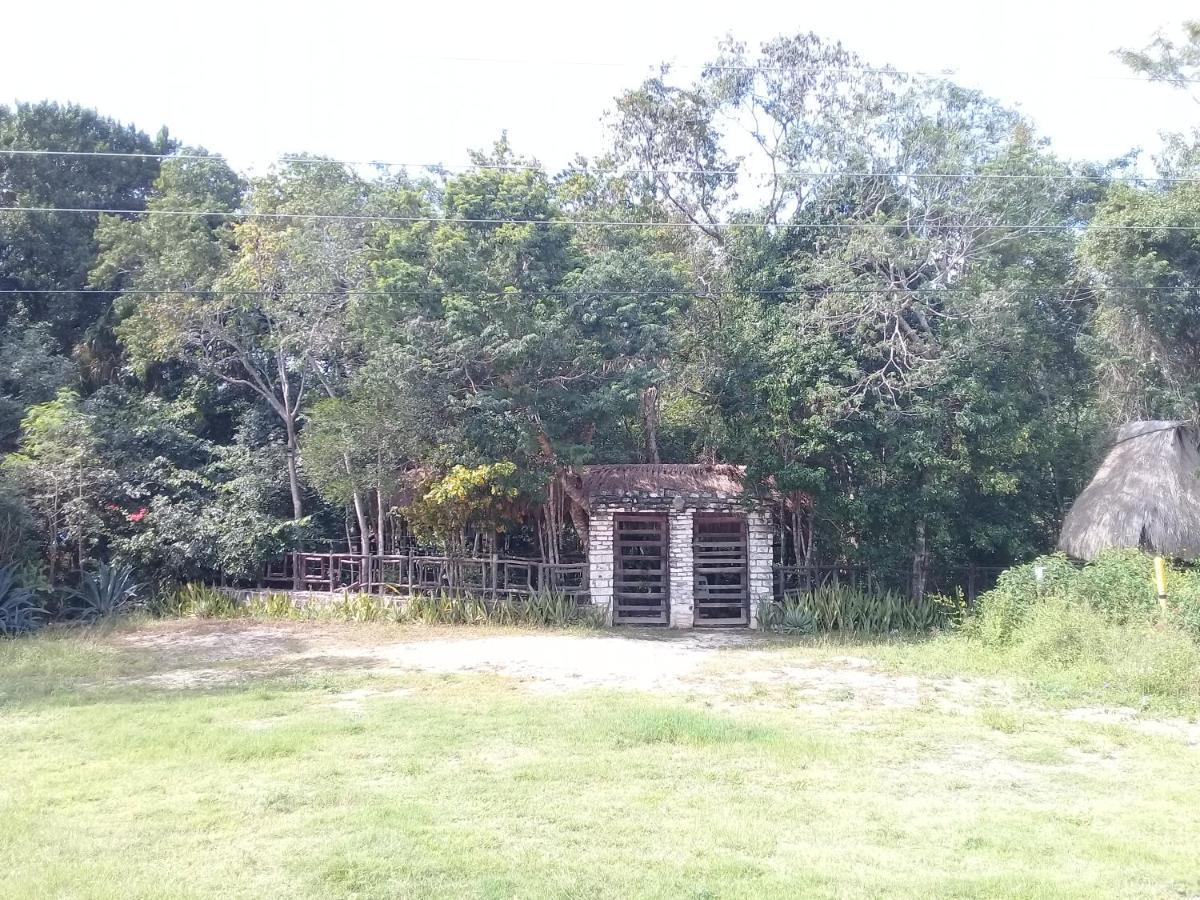 Jazba Jungle Retreat Hotel Tulum