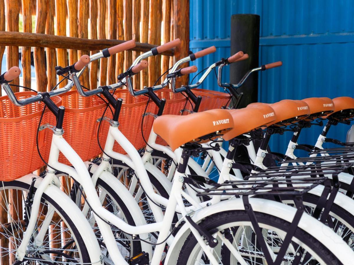 Colorbox Beds And Hostel *