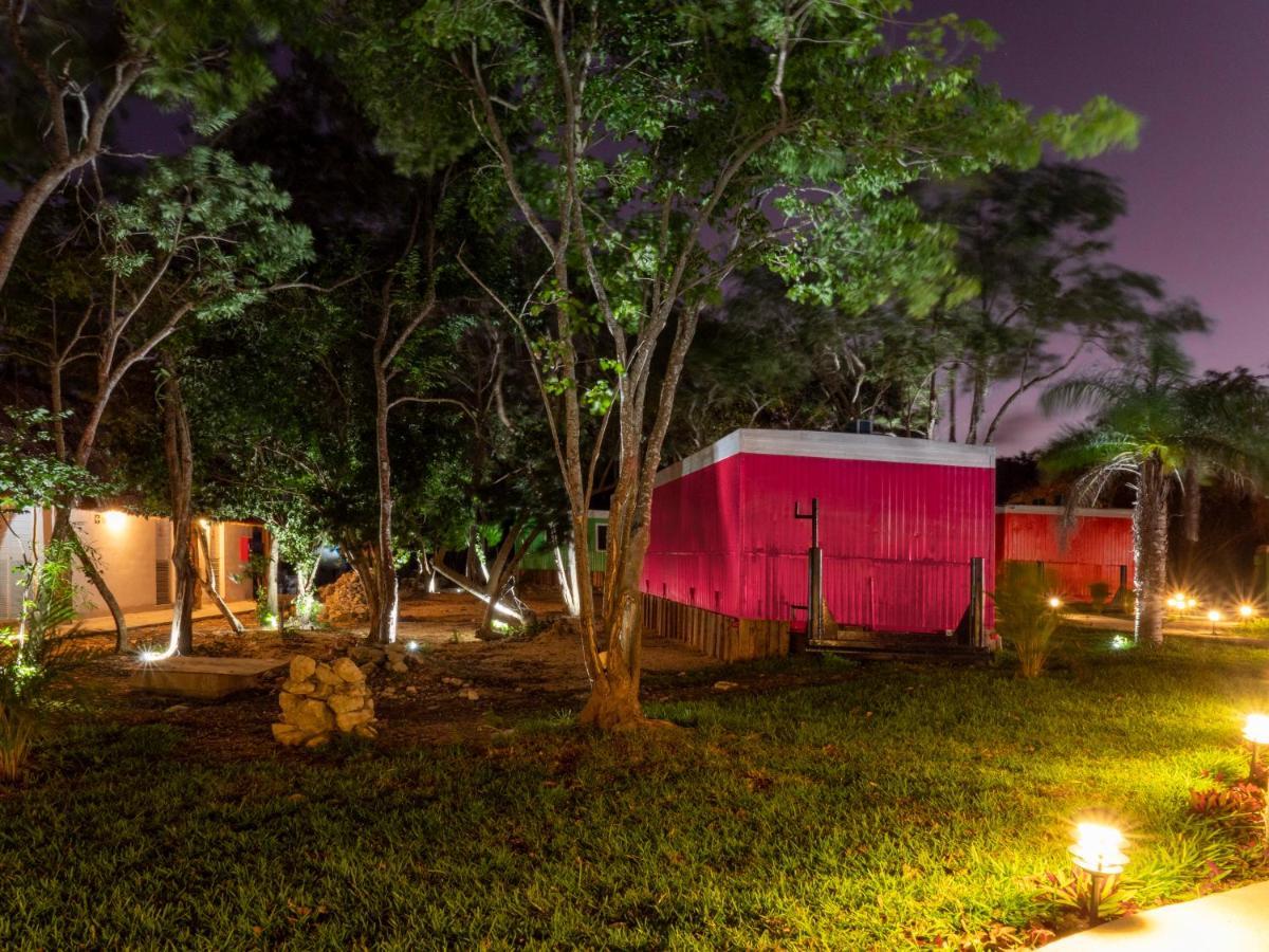 Hostel Colorbox Beds And Tulum