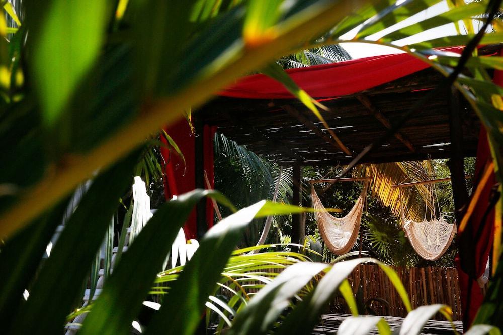 Casa Selva De Luz Tulum