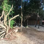 Nueve Tulum