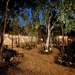 Bayou Tulum