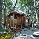 Bayou