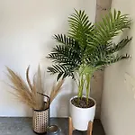 Katalox Jungle Lofts By Simply Comfort Centre Rooftop Patio & Pool Apartamento