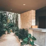 Vida Boho 6 With Special Fee To Access Bardo * Tulum