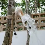 Villa Luxury&nature Rosita Tulum/ Work&rest Spaces Tulum