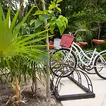 Naay Tulum Curamoria Collection