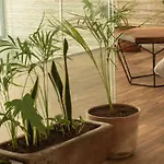 Apartamento Lovely 2-bed In With Private Pool *