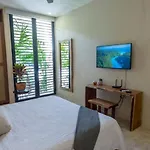 Exquisite Jungle W/private Pool!