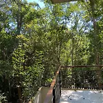 Great Apartment In Tulum Ab5