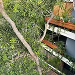Casa Mariposa - Private Jungle Luxury In Luum Zama