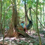 Pensión Mulut Tulum
