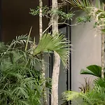 Casa Aviv House Design Awards Dream Swim-Up Pool 360 View Rooftop & Lush Gardens