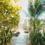 Casa Vallejo At Zamas Villa