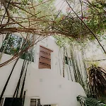 Sagrado * Tulum