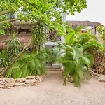 Hotel Icastico *