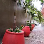 Centro, Party Tulum