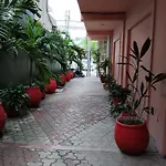 Centro, Party Tulum