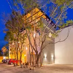 Beatiful Condo In The Jungle Horus 105