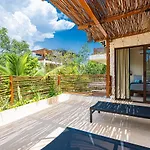 Jungle - Cenote Villa Tulum