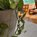 Ophelia In Aldea Zama 3* Tulum