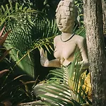 Kuotoch Jungle Retreat-chef & Yacht