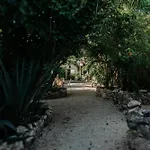 Hotel Icastico