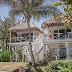 Coco Unlimited
