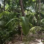 Apartahotel Ophelia In Aldea Zama Tulum