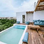 Rosa Azul
