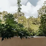Virginia Rooftop Oasis Retreat