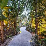Fast Wi-Fi 1Br In Tulum With Pool, Restaurant, Gym