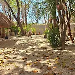 Kin Jungle Deluxe Guest house
