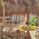 Kin Jungle Deluxe