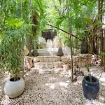Exclusive Ph Art House Free Access 2 The Tulum