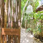 Exclusive Ph Art House Free Access 2 The Apartamento Tulum