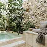 Design Casa Nautilus *