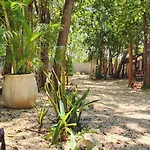 Kin Jungle Deluxe Guest house Tulum