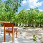 Selva Norte Tulum