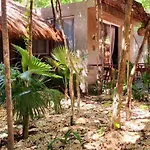 Kin Jungle Deluxe