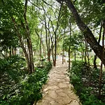 Premium With 2 Pools, Gym, Yoga Deck, Bbq Grill & Security *